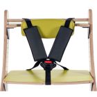 5-Point Harness - Zoomi