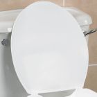 Toilet Frame Toilet Seat Lid
