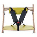 5-Point Harness - Zoomi