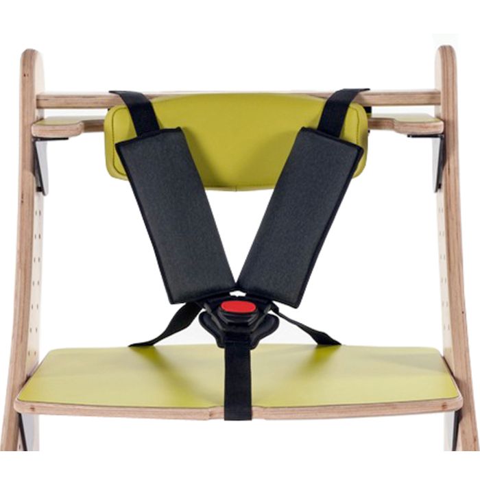 5-Point Harness - Zoomi