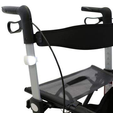 Night Light LED Lamp