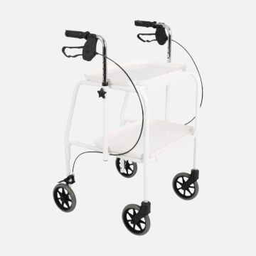 Indoor Kitchen Walker Rental 