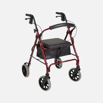 Seat Walker Rental
