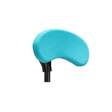 Headrest Light