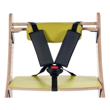 5-Point Harness - Zoomi