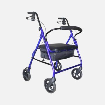 Days Heavy Duty Seat Walker
