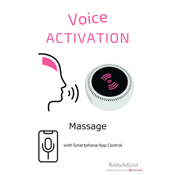 Multiway Voice Activation System