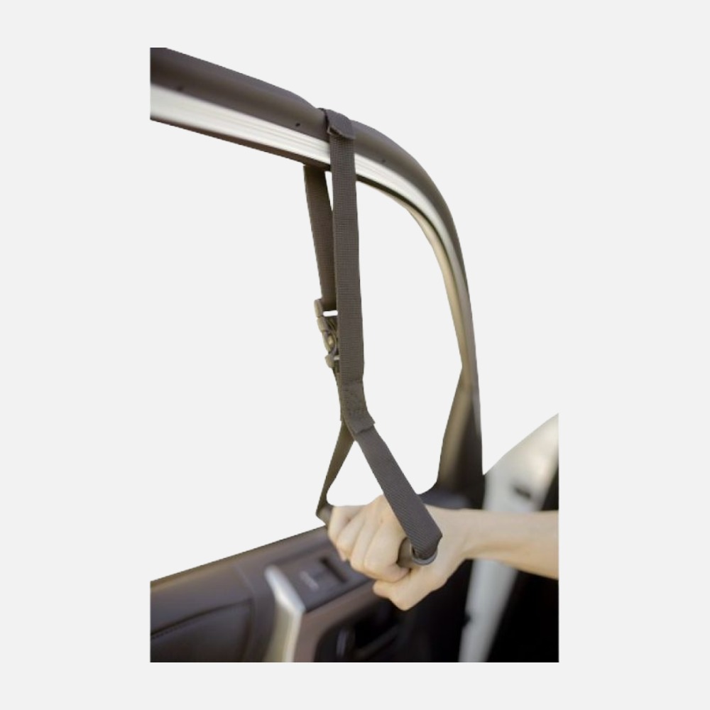 Auto Assist Handle