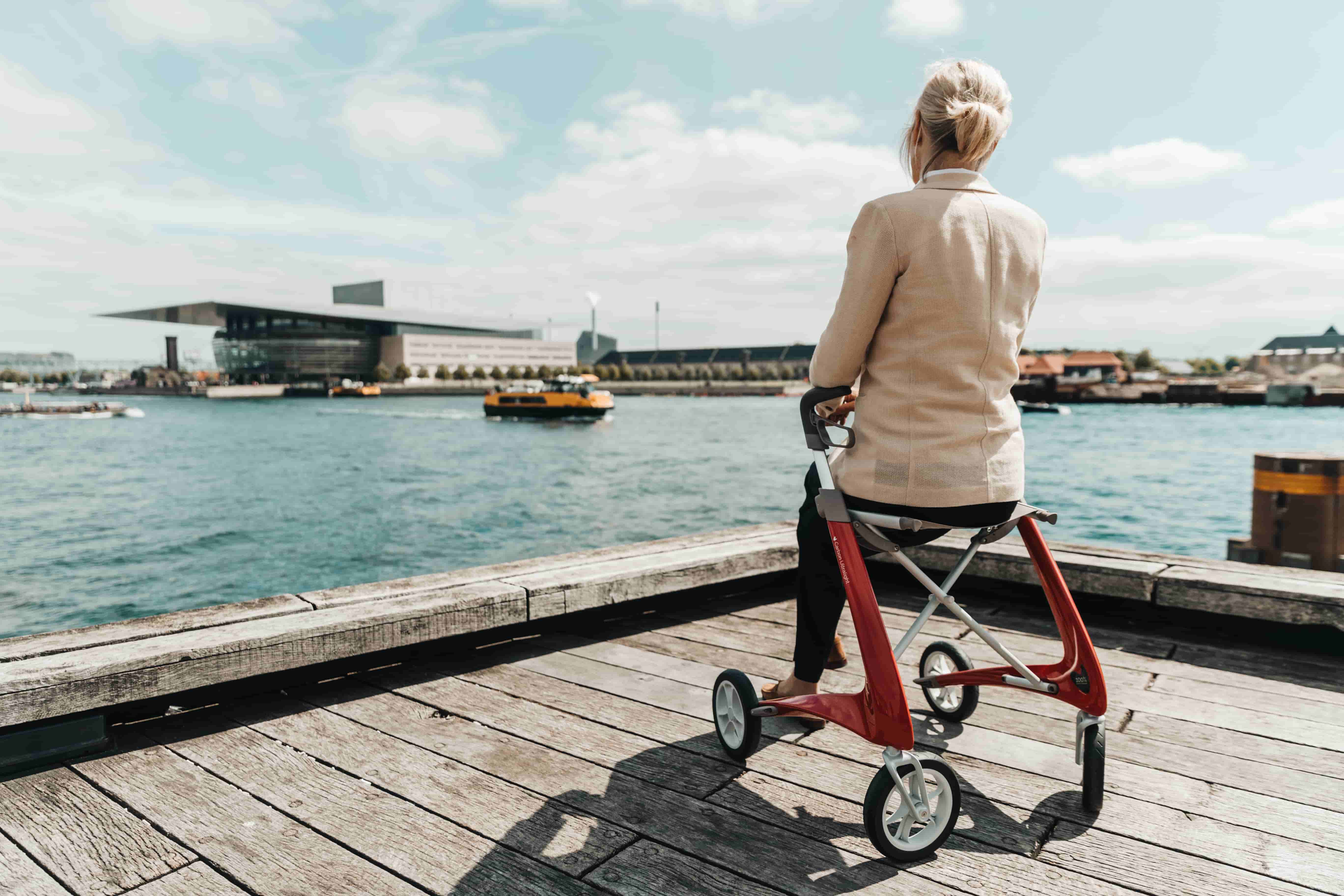 Main mobility product
